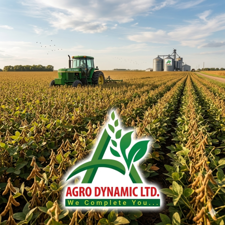 Soybean oil
